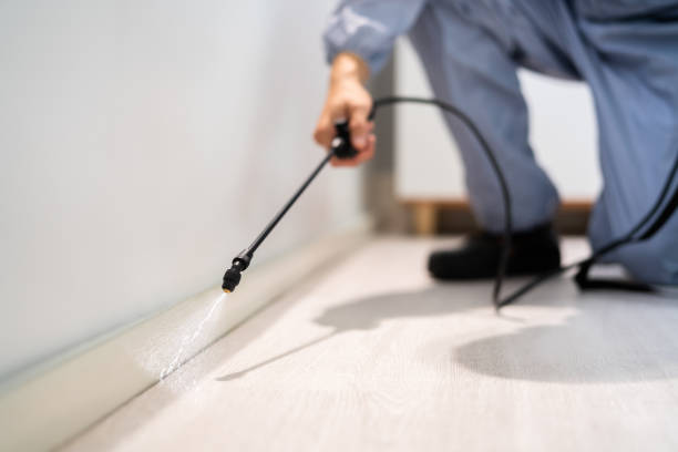 Licensed Pest Control service in Cut Off, LA - Show Me Pest Control