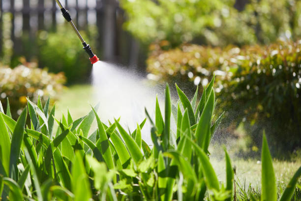 Tamper-Resistant Bait Stations for Rodents in Cut Off